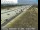 Webcam in Mira Loma, Californie, 47.3 km