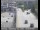 Webcam in Oakland, Californien, 2.3 km