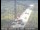Webcam in Novato, Californie, 12.8 km