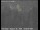 Webcam in Novato, California, 37.7 mi away