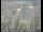 Webcam in Novato, California, 7.8 mi away