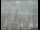 Webcam in Novato, California, 22.4 mi away
