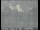 Webcam in Novato, California, 40.9 mi away