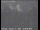 Webcam in Novato, California, 37.7 mi away