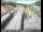 Webcam in Novato, California, 58 km