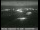 Webcam in Newark, California, 3.5 mi away