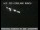 Webcam in Napa, California, 29.6 mi away