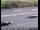 Webcam in Mountain View, California, 11.6 mi away