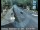 Webcam in Squaw Valley, California, 5.9 mi away