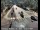 Webcam in Squaw Valley, California, 5.7 mi away