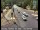 Webcam in Squaw Valley, California, 16.2 mi away