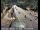 Webcam in Squaw Valley, California, 18.5 km
