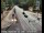 Webcam in Squaw Valley, California, 9.4 mi away