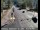 Webcam in Squaw Valley, California, 45.5 km