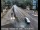 Webcam in Squaw Valley, California, 13.7 mi away