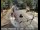 Webcam in Squaw Valley, California, 48.8 km