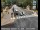 Webcam in Squaw Valley, California, 21.1 mi away