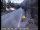 Webcam in Squaw Valley, Californien, 114.6 km