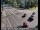 Webcam in Squaw Valley, California, 16.2 mi away