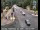 Webcam in Squaw Valley, California, 7.1 mi away
