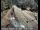 Webcam in Squaw Valley, Californie, 7.3 km