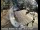 Webcam in Squaw Valley, California, 7.3 km