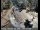 Webcam in Squaw Valley, California, 9.4 mi away
