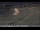 Webcam in Orange, California, 3.3 mi away