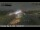 Webcam in Orange, California, 4.3 mi away