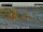 Webcam in Orange, California, 2 mi away