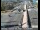 Webcam in Redding, Californie, 226.1 km