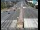 Webcam in Redding, California, 46.5 km