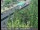 Webcam in Rancho Cordova, Californie, 17.2 km
