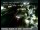 Webcam in Rancho Cordova, California, 18 mi away