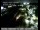 Webcam in Rancho Cordova, California, 41.3 mi away