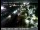 Webcam in Rancho Cordova, California, 10.9 mi away