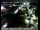Webcam in Rancho Cordova, California, 9.3 mi away