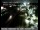 Webcam in Rancho Cordova, California, 41.3 mi away