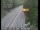 Webcam in Pollock Pines, California, 16.8 mi away