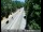 Webcam in Pollock Pines, California, 50 km