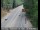 Webcam in Pollock Pines, Kalifornien, 43.4 km entfernt