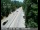 Webcam in Pollock Pines, Californien, 68.1 km