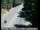 Webcam in Pollock Pines, California, 17.6 mi away