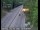 Webcam in Pollock Pines, California, 61.6 mi away