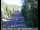 Webcam in Pollock Pines, Californie, 65.6 km