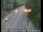 Webcam in Pollock Pines, Californie, 69.7 km
