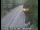 Webcam in Pollock Pines, California, 25.3 mi away