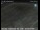 Webcam in San Diego, California, 3.9 mi away