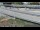 Webcam in Santa Ana, California, 4.3 mi away