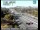 Webcam in Shasta Lake, California, 8.9 km
